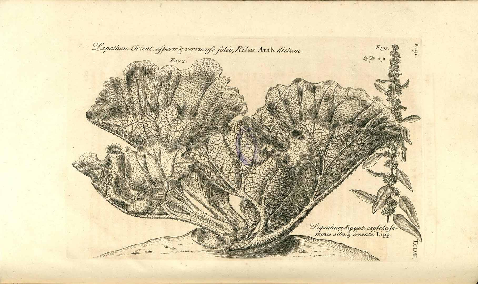 no HD illustration available (3)