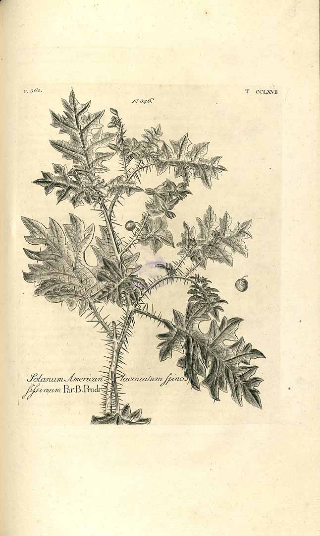 no HD illustration available (3)