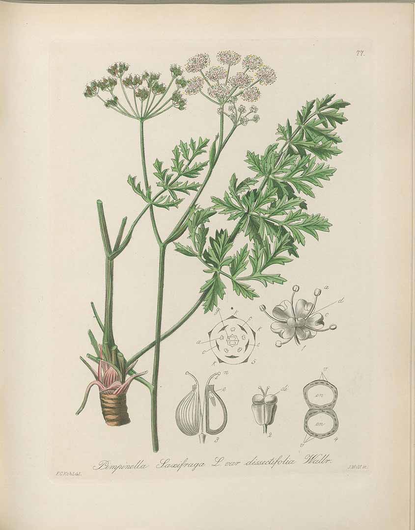 no HD illustration available (3)