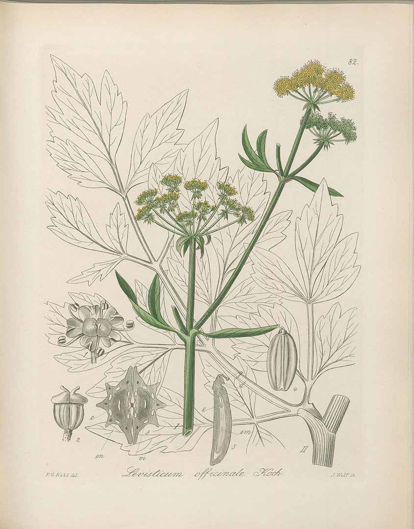 no HD illustration available (3)