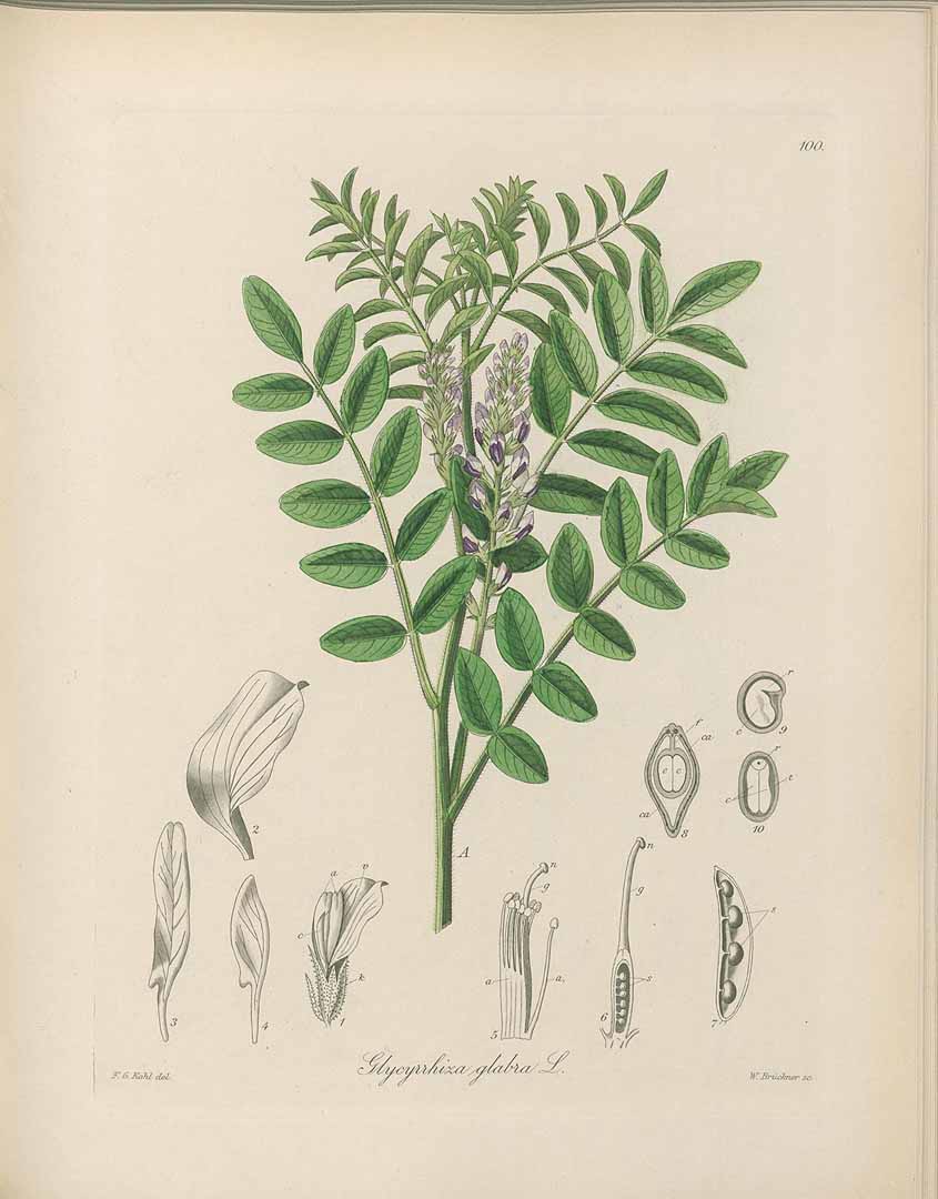 no HD illustration available (3)