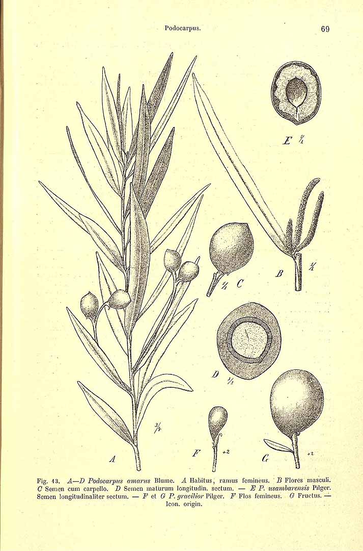 no HD illustration available (3)