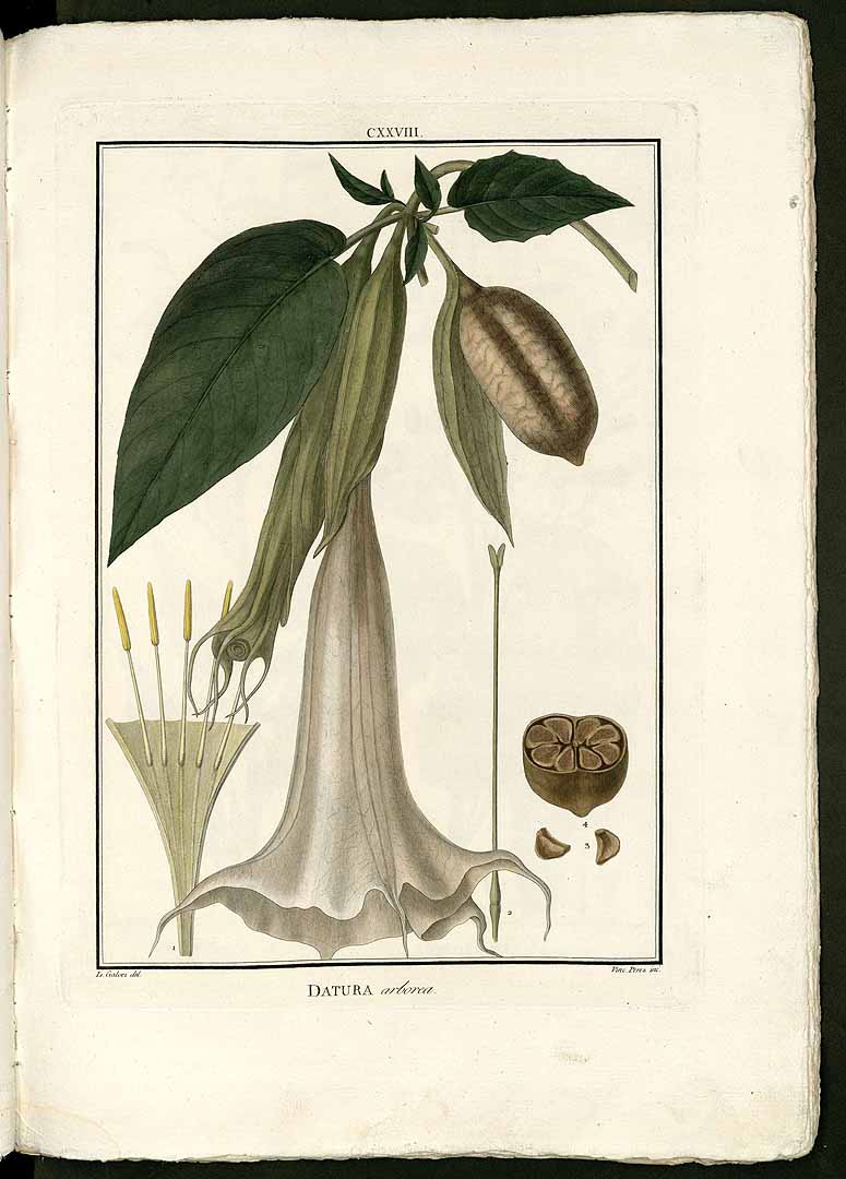 no HD illustration available (3)