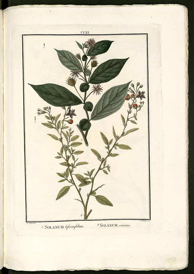 no HD illustration available (3)