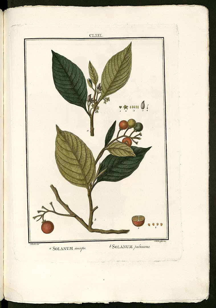 no HD illustration available (3)