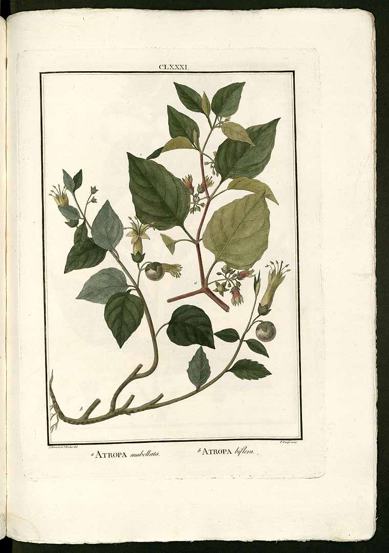 no HD illustration available (3)