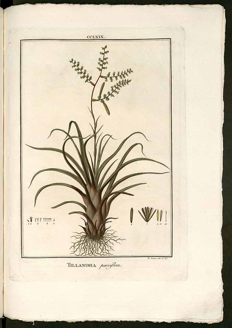 no HD illustration available (3)