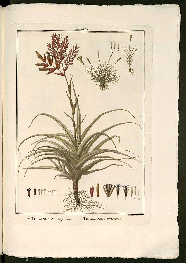 no HD illustration available (3)