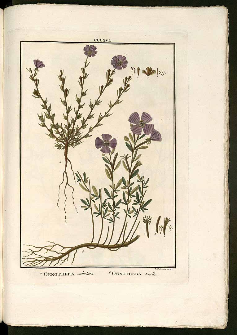 no HD illustration available (3)