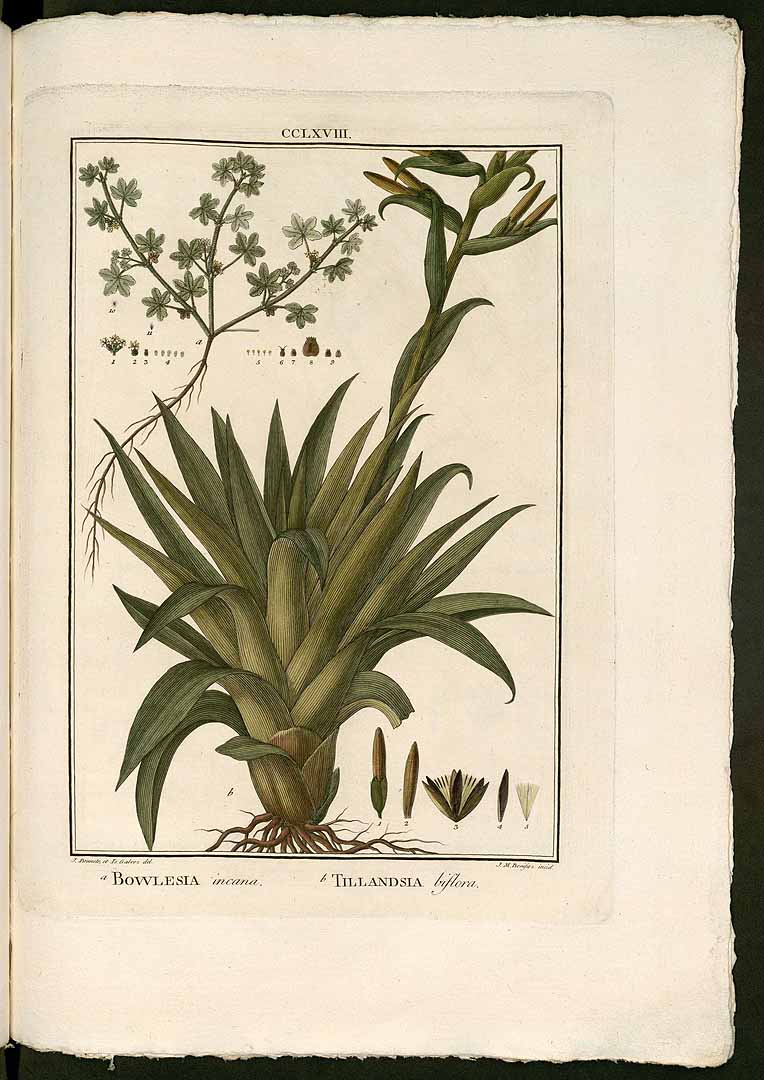 no HD illustration available (3)