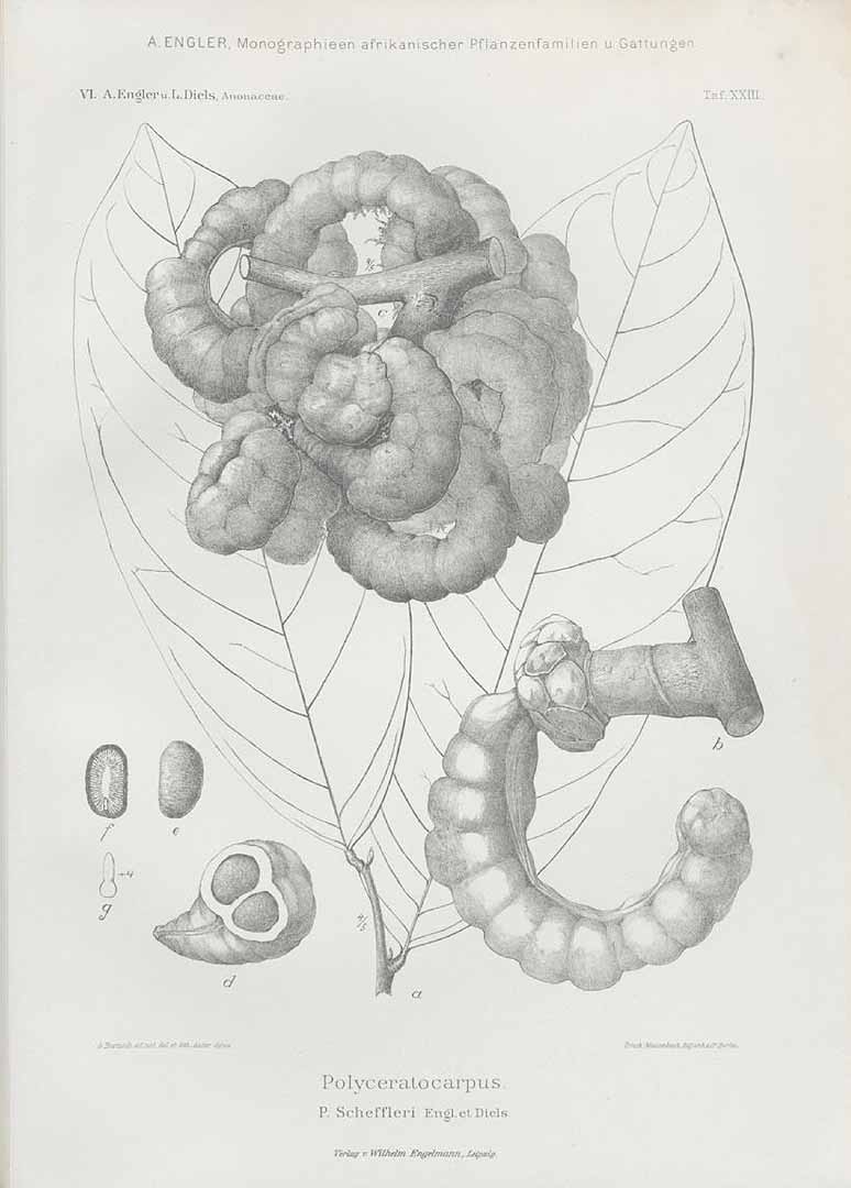 no HD illustration available (3)