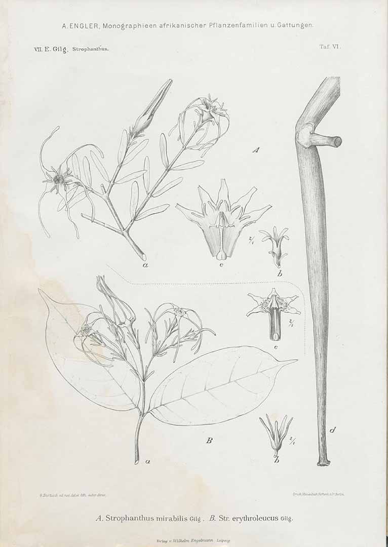 no HD illustration available (3)