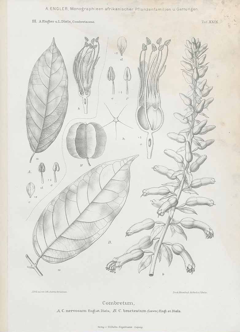 no HD illustration available (3)