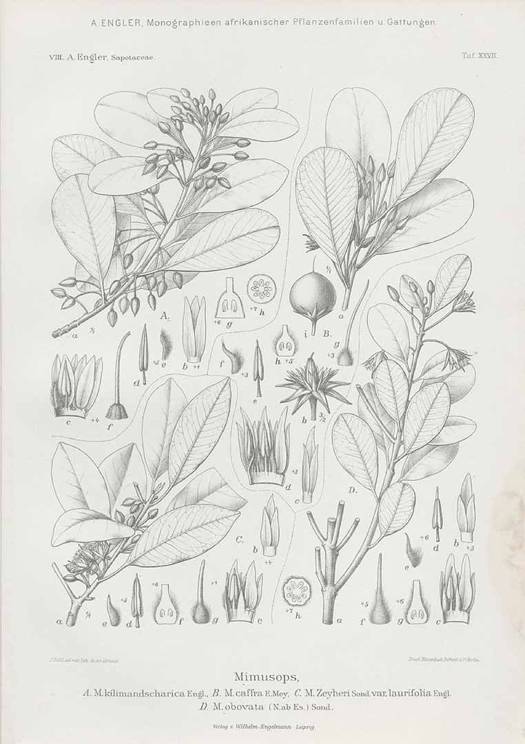 no HD illustration available (3)