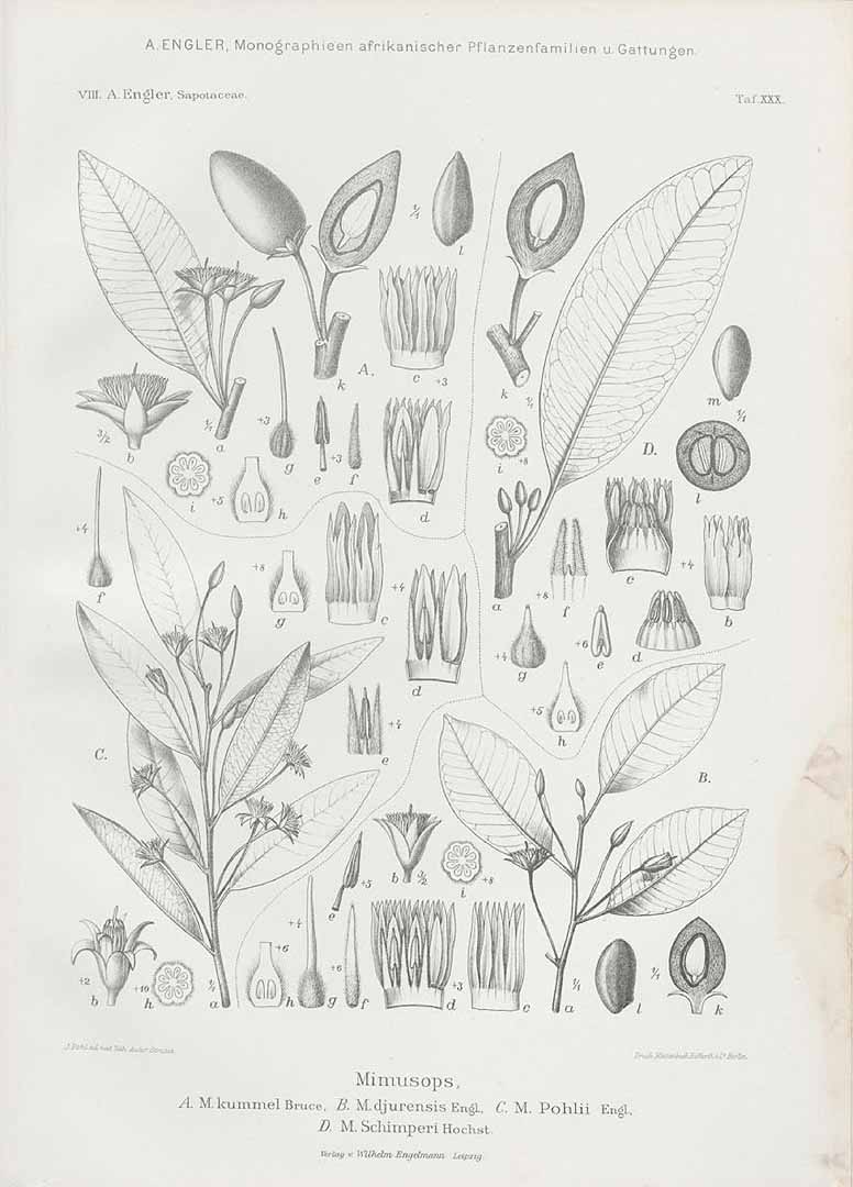 no HD illustration available (3)