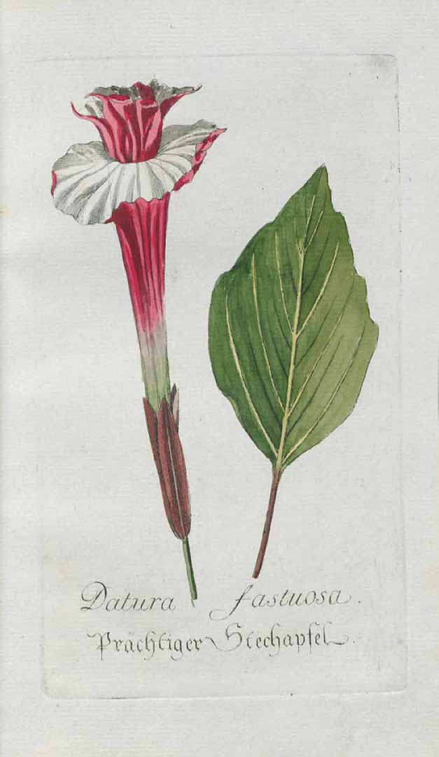 no HD illustration available (3)