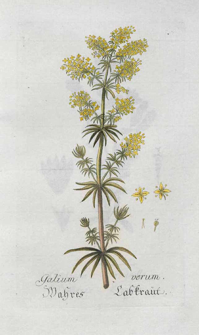 no HD illustration available (3)