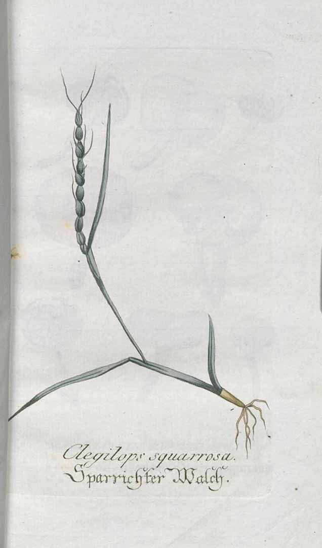 no HD illustration available (3)