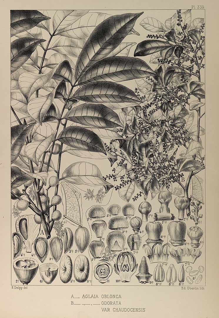 no HD illustration available (3)