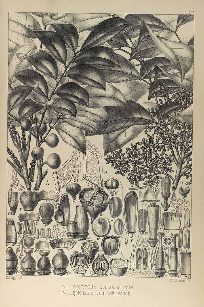 no HD illustration available (3)