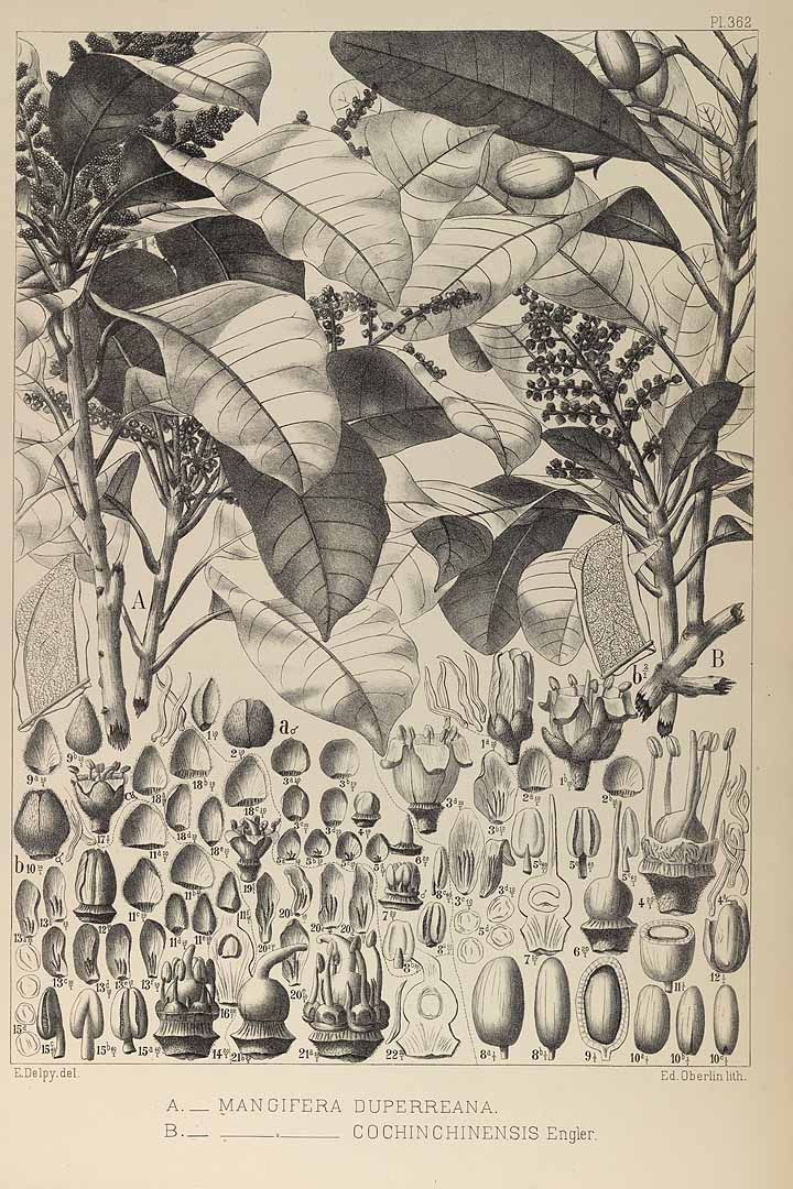 no HD illustration available (3)