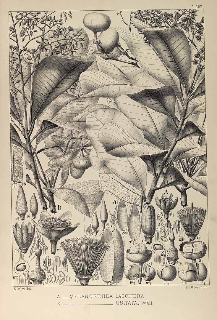 no HD illustration available (3)