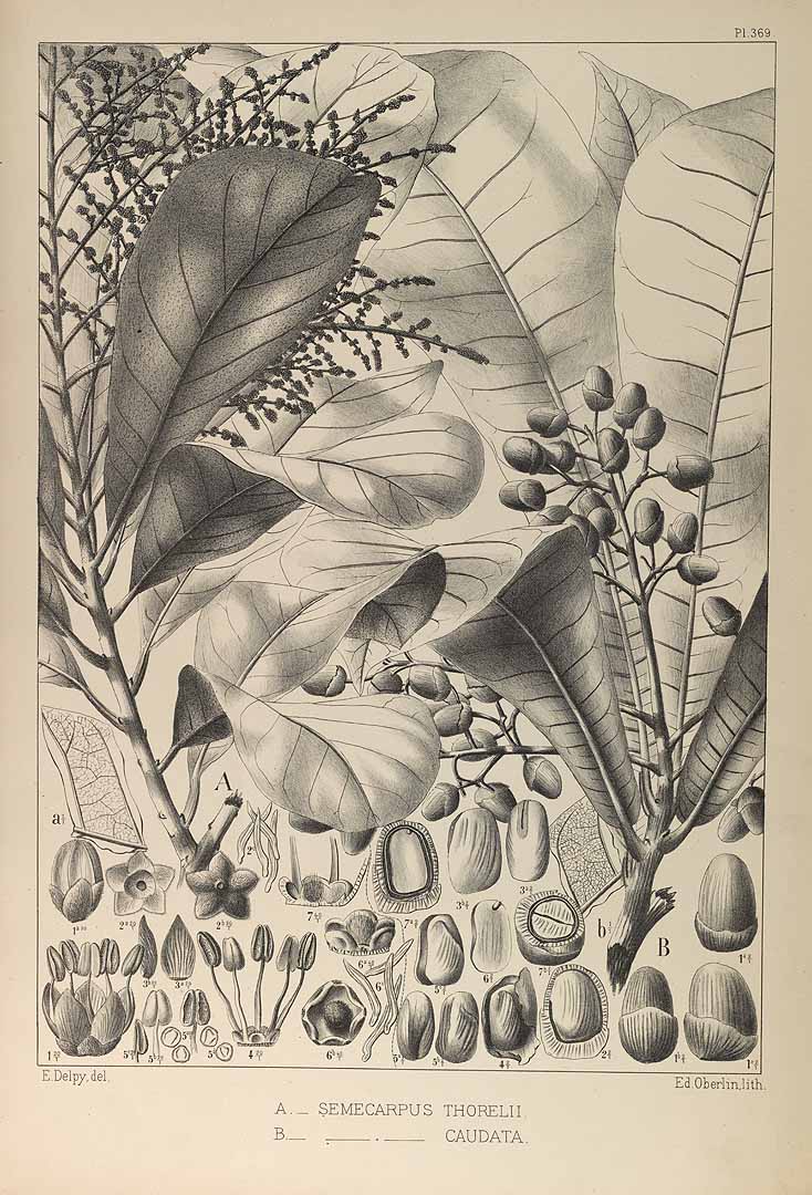 no HD illustration available (3)