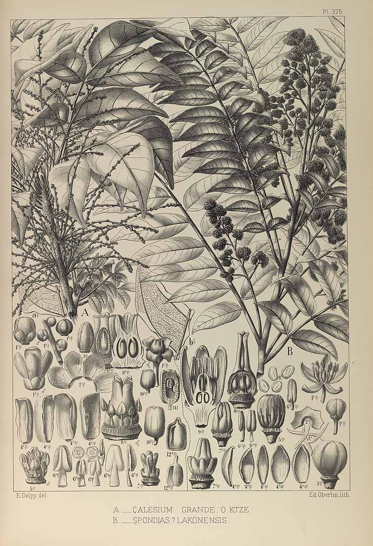 no HD illustration available (3)