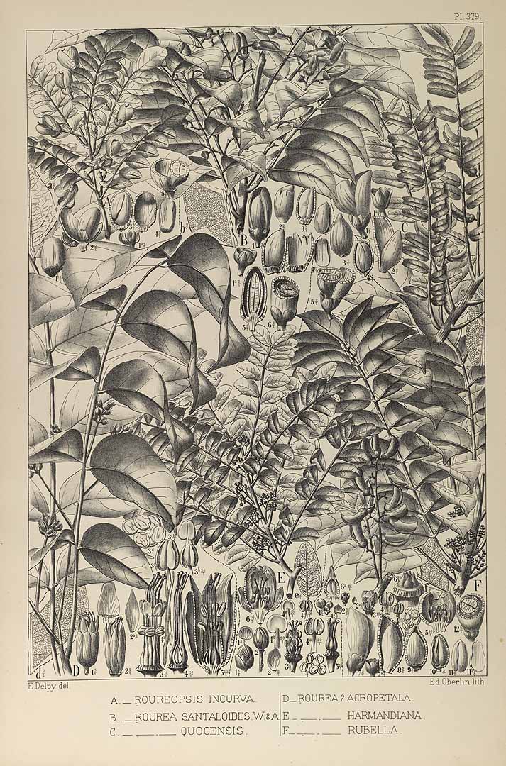 no HD illustration available (3)