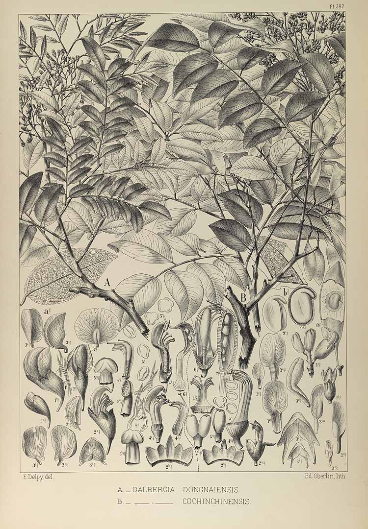 no HD illustration available (3)