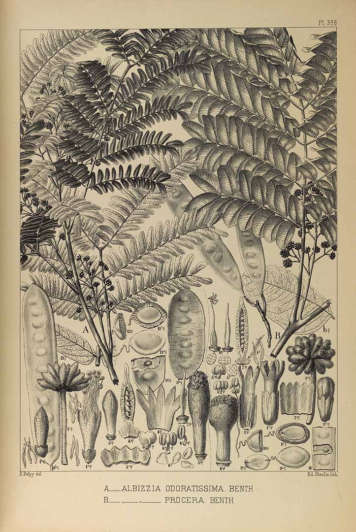 no HD illustration available (3)