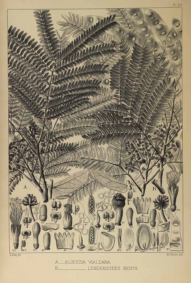 no HD illustration available (3)