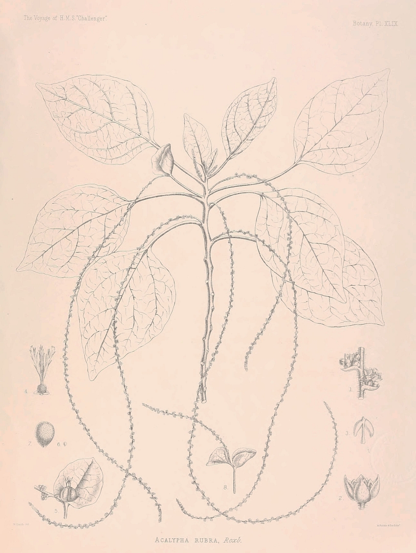 no HD illustration available (3)