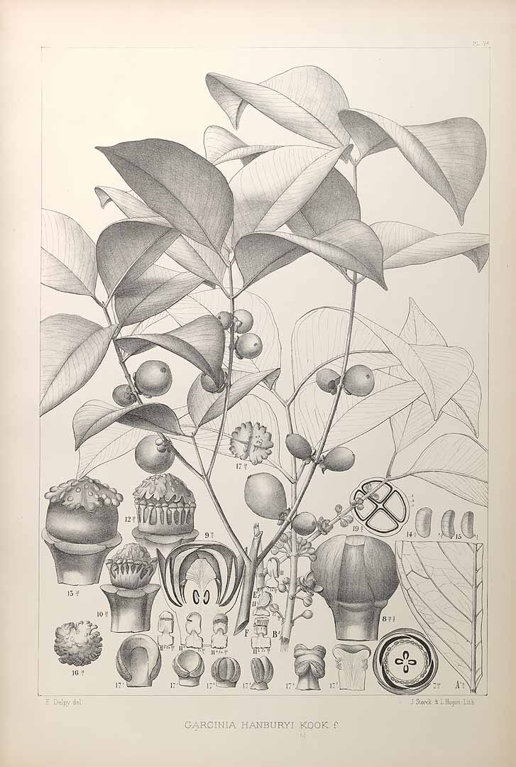 no HD illustration available (3)