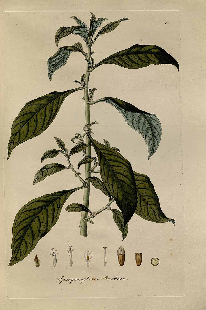 no HD illustration available (3)