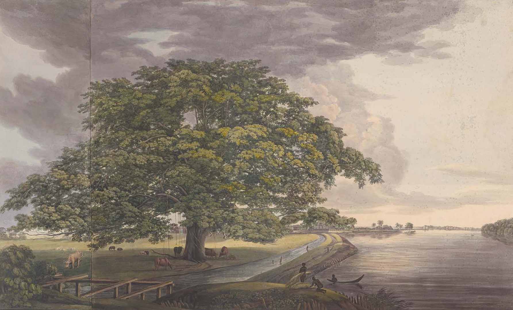 no HD illustration available (3)