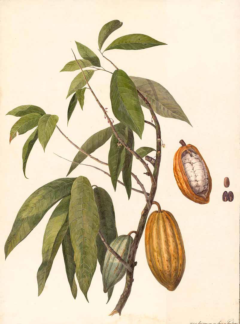 no HD illustration available (3)