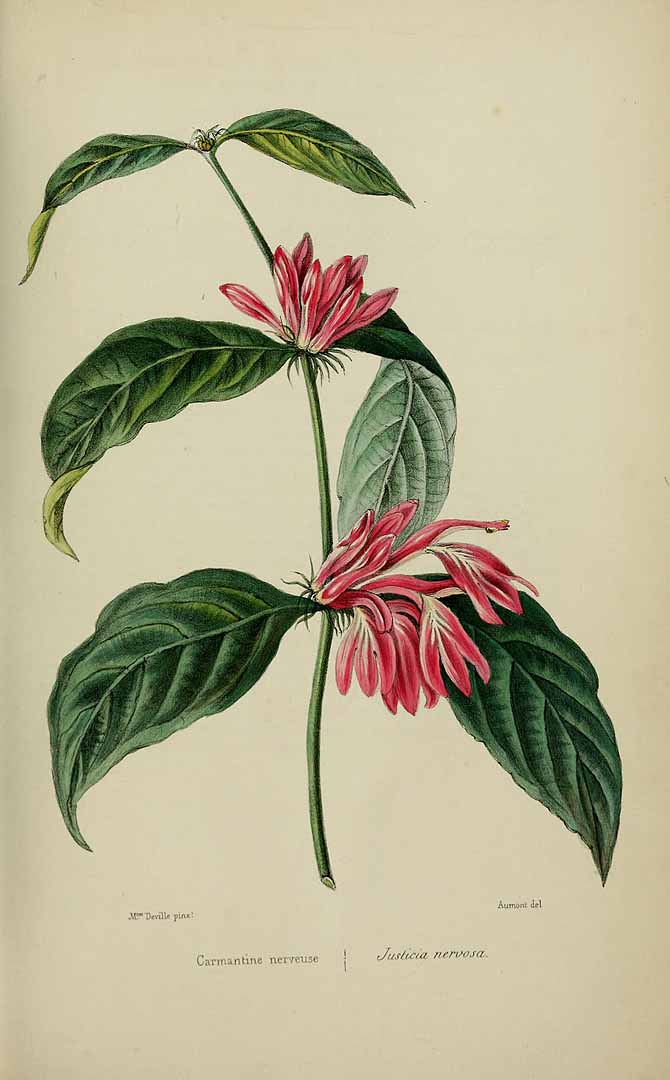 no HD illustration available (3)