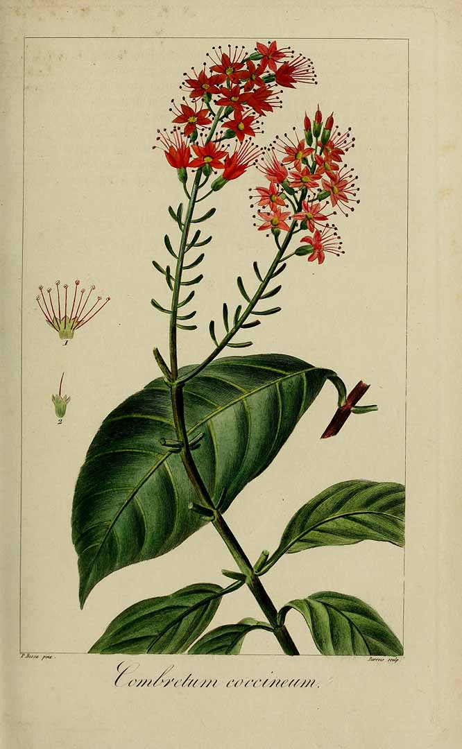 no HD illustration available (3)