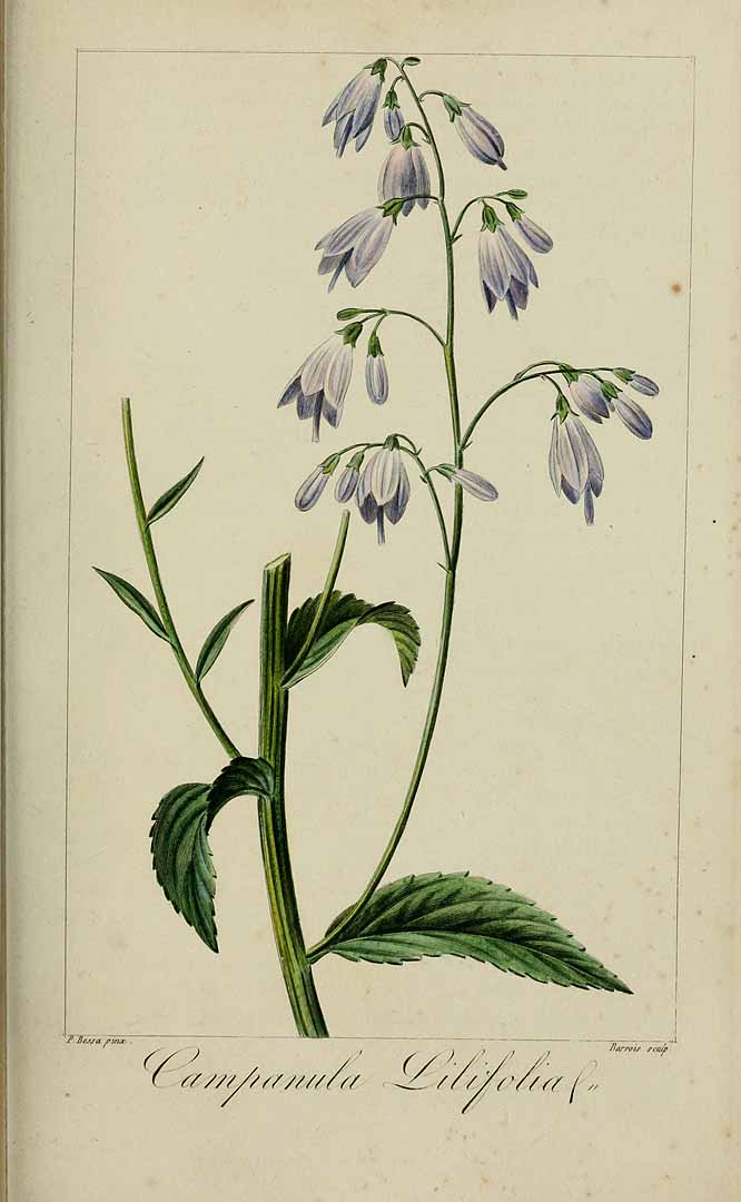 no HD illustration available (3)