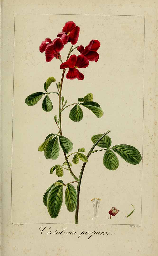 no HD illustration available (3)