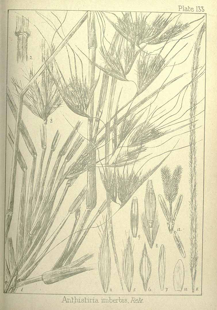 no HD illustration available (3)