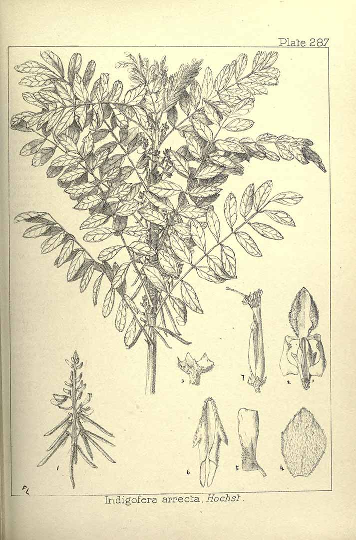 no HD illustration available (3)