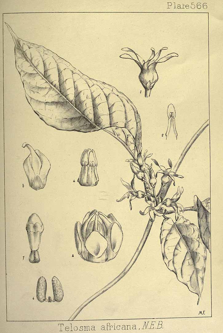 no HD illustration available (3)