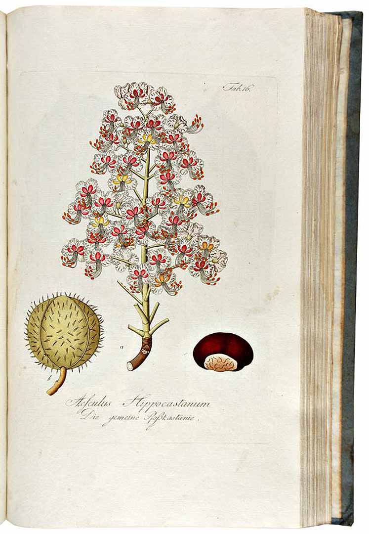 no HD illustration available (3)