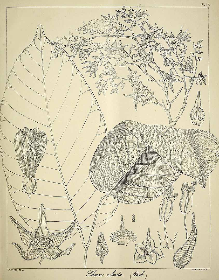 no HD illustration available (3)