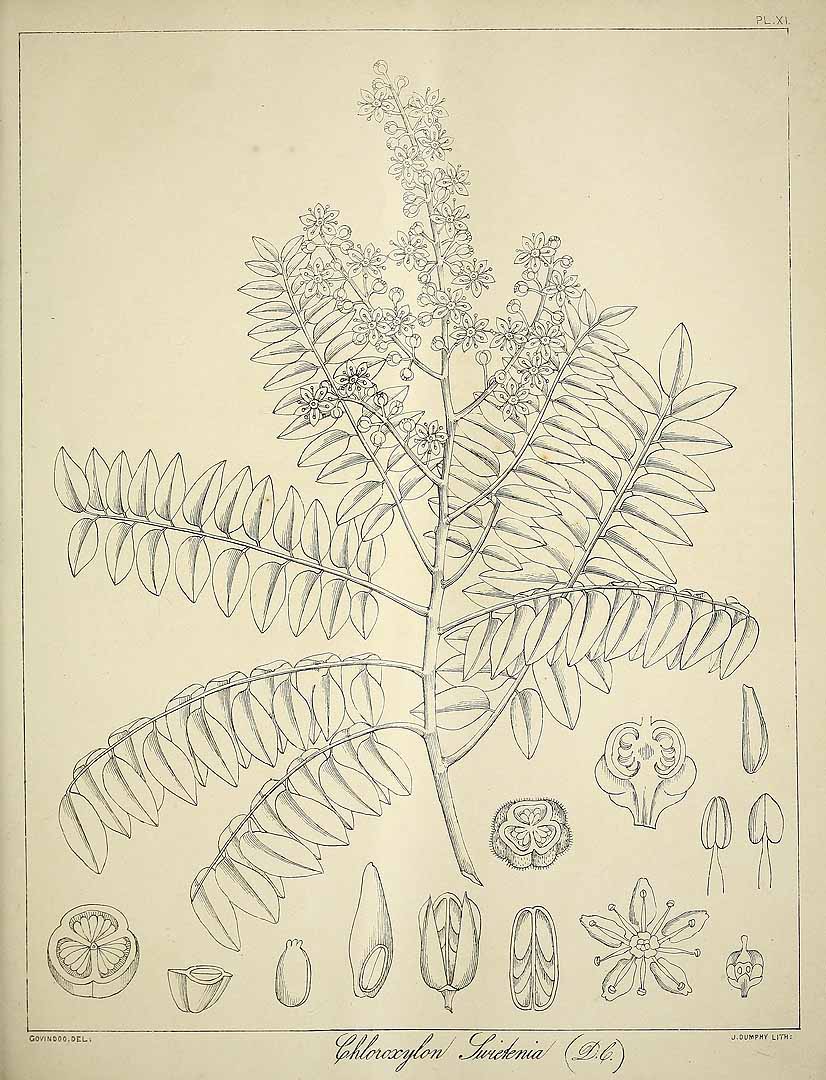 no HD illustration available (3)