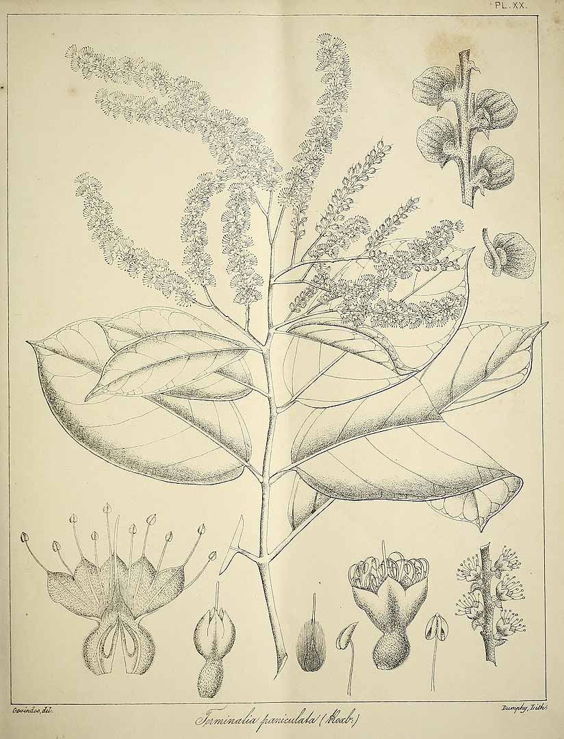 no HD illustration available (3)