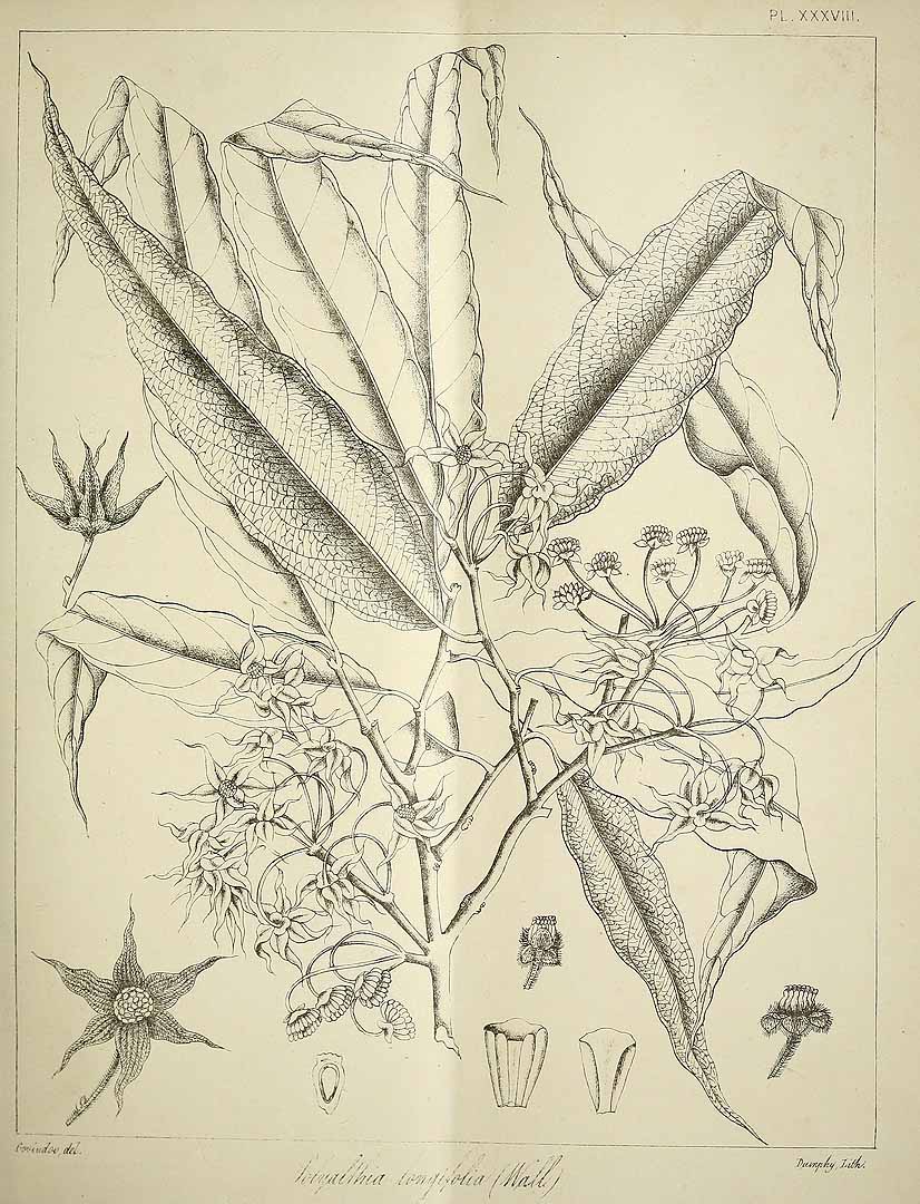 no HD illustration available (3)