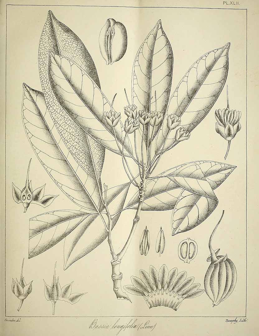 no HD illustration available (3)